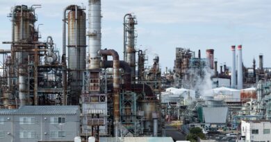 रिलायंस इंडस्ट्रीज