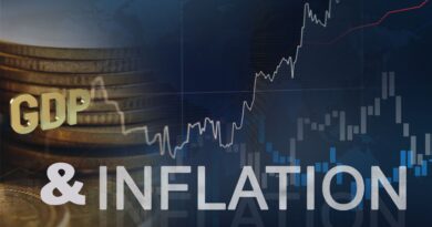 india gdp growth inflation