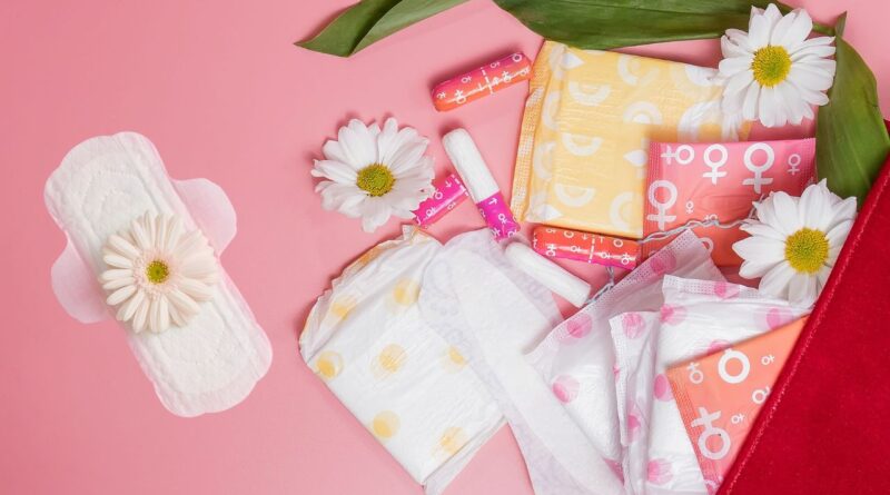 Karnataka menstrual leave policy