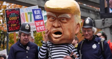 trump ai video no kings protesters