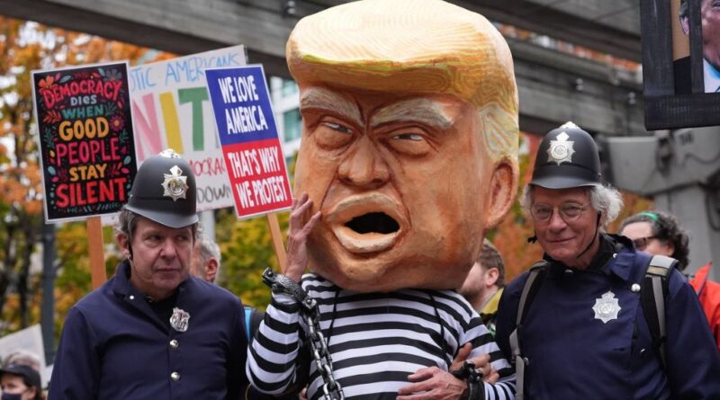 trump ai video no kings protesters