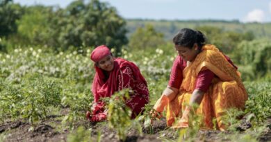 climate resilient farming practices