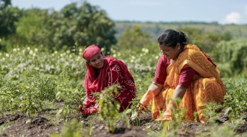climate resilient farming practices