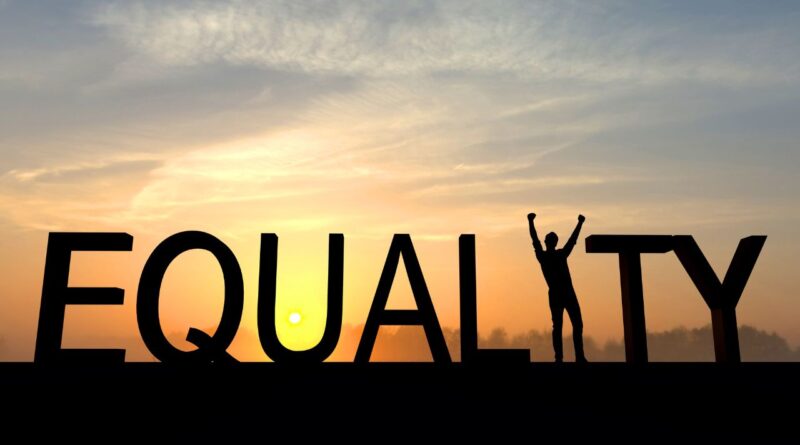 modern man's guide to equality