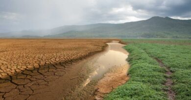 climate change adaptation in Guyana