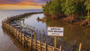 प्रकृति के साथ निर्माण (मैंग्रोव बहाली)